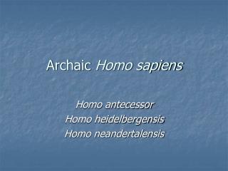 Archaic Homo sapiens