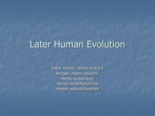 Later Human Evolution