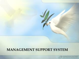 MANAGEMENT SUPPORT SYSTEM