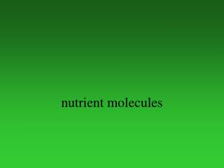 nutrient molecules