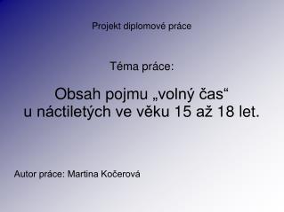 Projekt diplomové práce