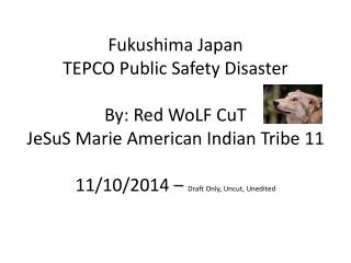 Fukushima Japan TEPCO Public Safety Disaster