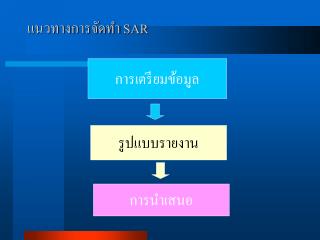 แนวทางการจัดทำ SAR