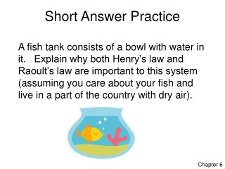 Short Answer Practice