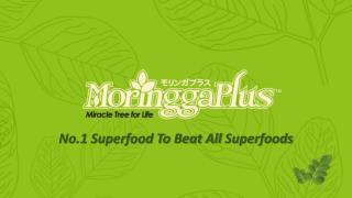 MoringgaPlus