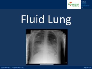 Fluid Lung