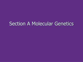 Section A Molecular Genetics