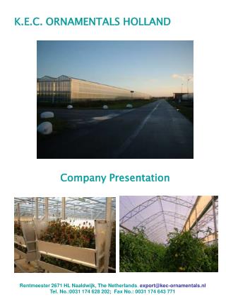 K.E.C. ORNAMENTALS HOLLAND