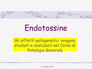 Endotossine