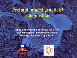 Preimplantační genetická diagnostika