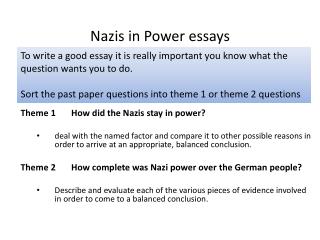 Nazis in Power essays