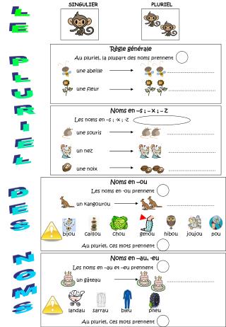 LE PLURIEL DES NOMS