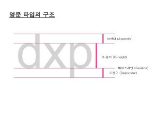 어센더 (Ascender)