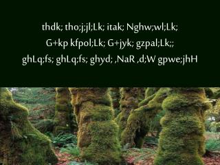 tpz;kPd;fs; $l;lNk xspUNj tpz; ghyid Nghw;wpLNj M.. M.. M.. thdj;jpd; ntz;epyNt