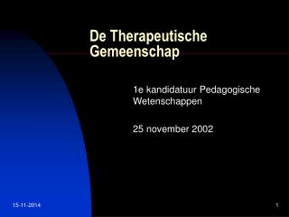 De Therapeutische Gemeenschap