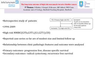 The long term outcome of high risk non-muscle invasive bladder cancer.