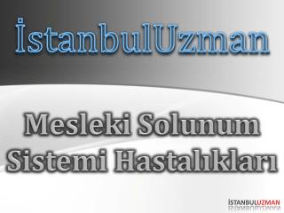 İstanbulUzman