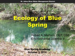 Ecology of Blue Spring