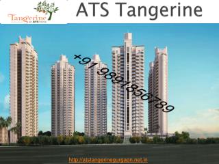 Looking For 3BHK Apt's - ATS Tangerine Sector 99A Gurgaon