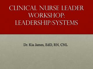 Clinical Nurse Leader Workshop: Leadership/Systems