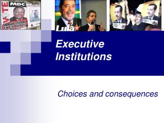 Executive Institutions