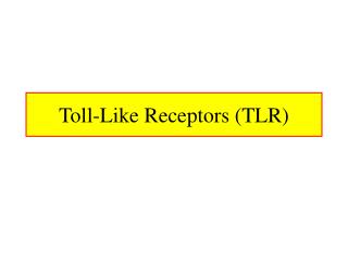 Toll-Like Receptors (TLR)
