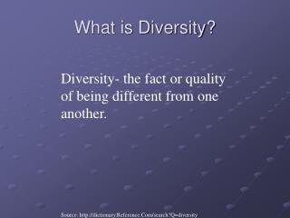 What is Diversity?