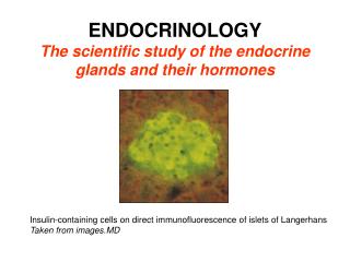 ENDOCRINOLOGY The scientific study of the endocrine glands and their hormones