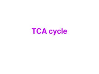 TCA cycle