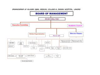 Organogram for Website