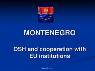 MONTENEGRO OSH and cooperation with EU institutions