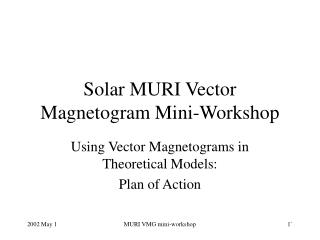 Solar MURI Vector Magnetogram Mini-Workshop
