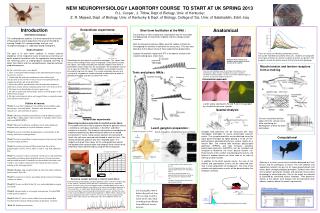 NEW NEUROPHYSIOLOGY LABORTORY COURSE TO START AT UK SPRING 2013