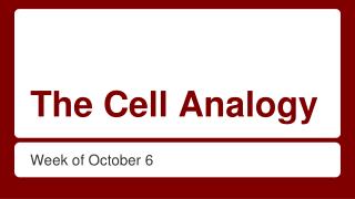 The Cell Analogy