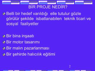 BİR PROJE NEDİR?