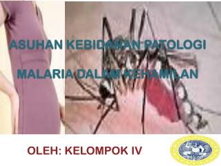 ASUHAN KEBIDANAN PATOLOGI MALARIA DALAM KEHAMILAN