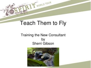 Teach Them to Fly Training the New Consultant by Sherri Gibson