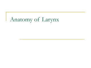 Anatomy of Larynx