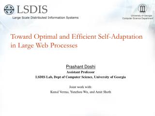 Toward Optimal and Efficient Self-Adaptation in Large Web Processes