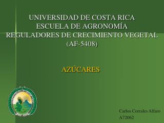 UNIVERSIDAD DE COSTA RICA ESCUELA DE AGRONOMÍA REGULADORES DE CRECIMIENTO VEGETAL (AF-5408)