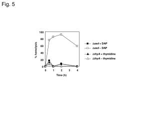 Fig. 5