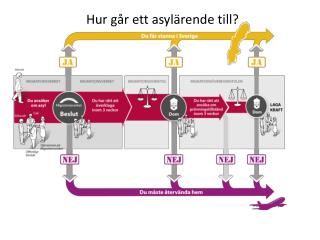 Hur går ett asylärende till?