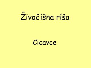 Živočíšna ríša