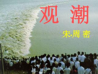 观 潮
