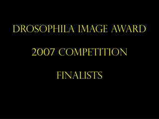 Drosophila Image Award 2007 Competition Finalists