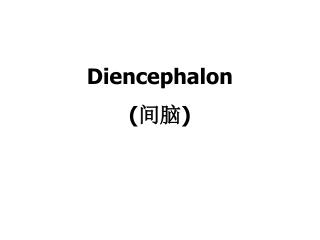 Diencephalon ( 间脑 )