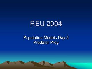 REU 2004