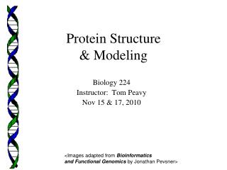 Protein Structure &amp; Modeling