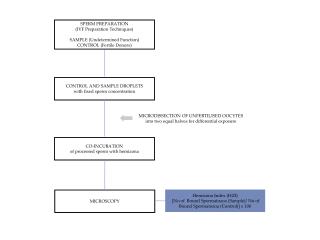 SPERM PREPARATION (IVF Preparation Techniques) SAMPLE ( Undetermined Function )