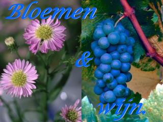 Bloemen &amp; wijn.